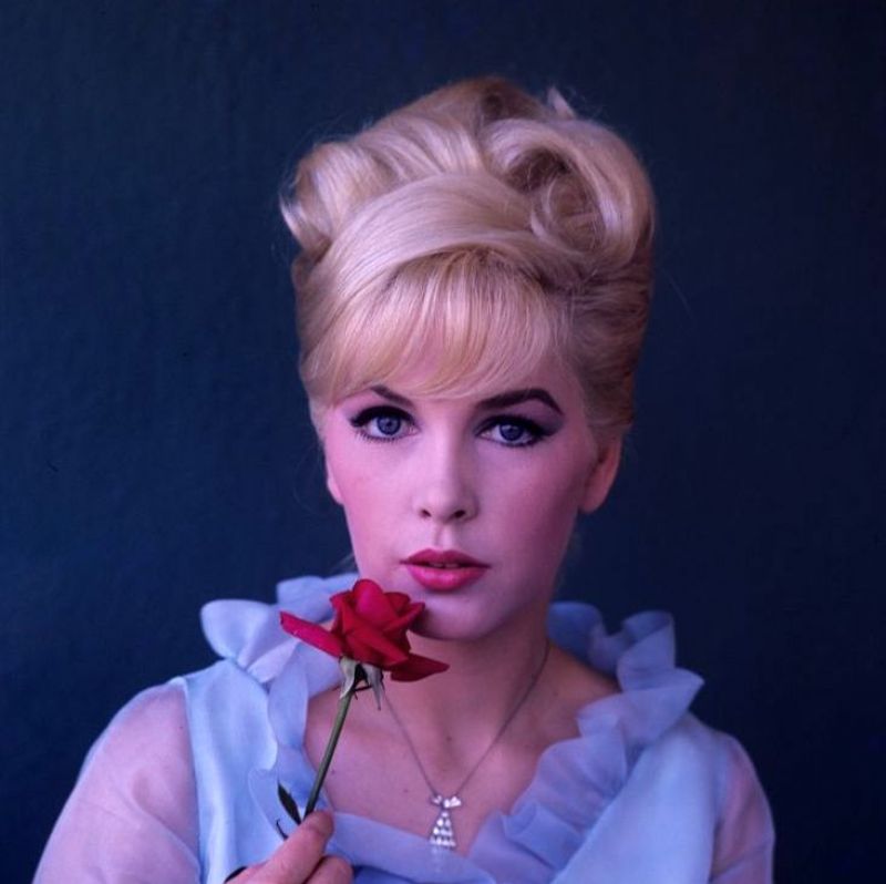 Stella Stevens Old Photos